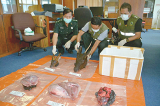 Wildlife meat bound for p'sula seized